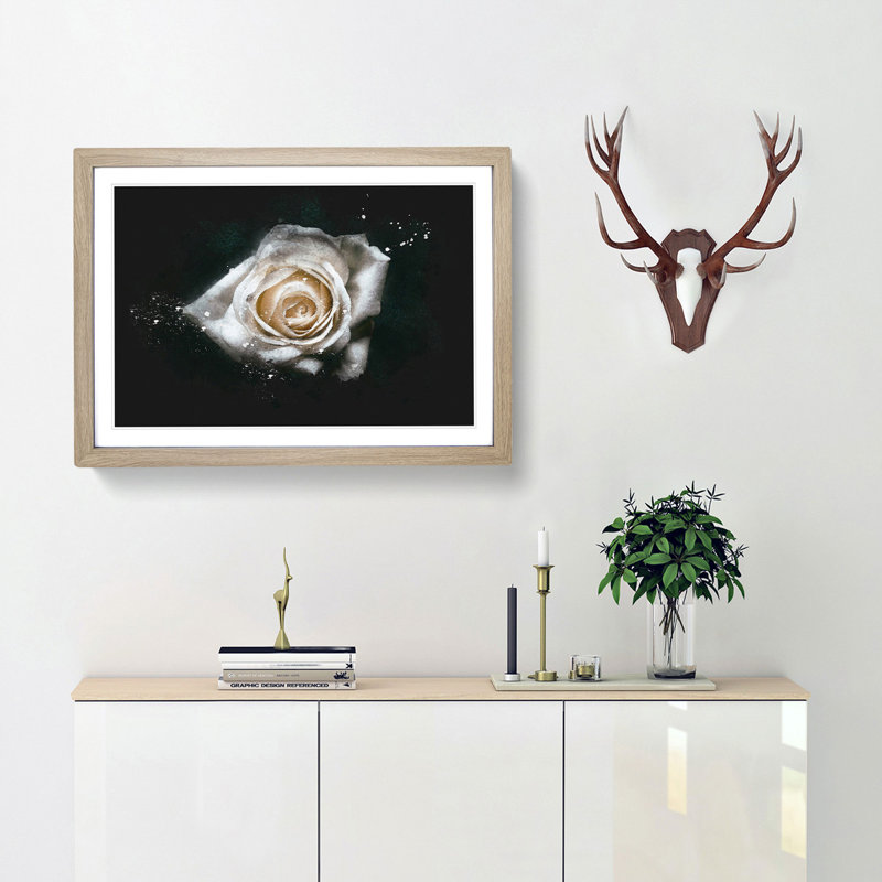 A White Rose - Picture Frame Graphic Art Print, 45cm H x 63cm W x 2cm D, Oak Framed