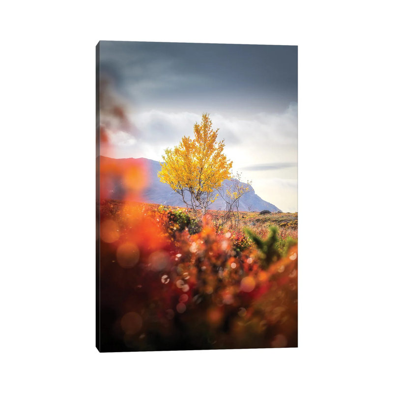 Lonely I by Lauri Lohi - Wrapped Canvas Print, 66.04 cm H x 45.72 cm W x 1.91 cm D