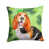 Basset Hound selected