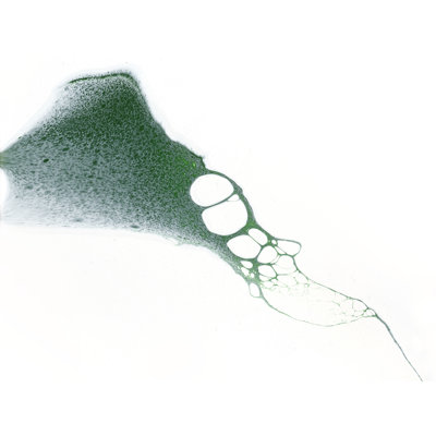 Tidal Flow Print by Denise Dundon
