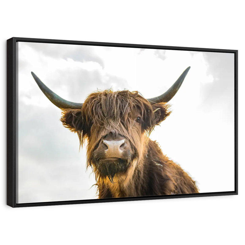 Brampt Cow Picture, 13" H x 19" W