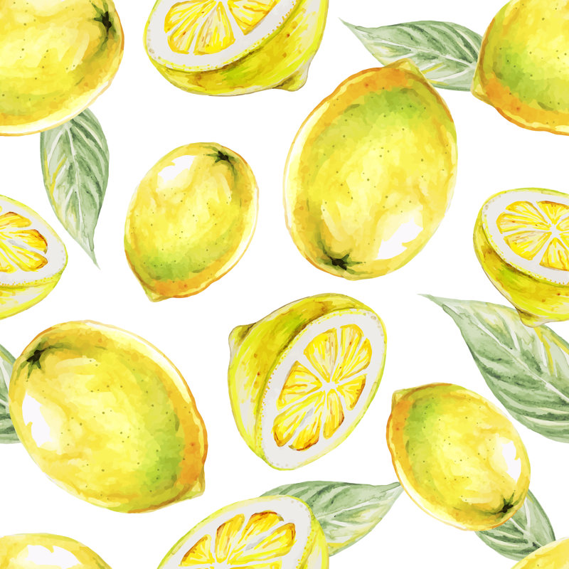 Lemon Fruit - Wrapped Canvas Print, 76cm H x 76cm W x 3.8cm D