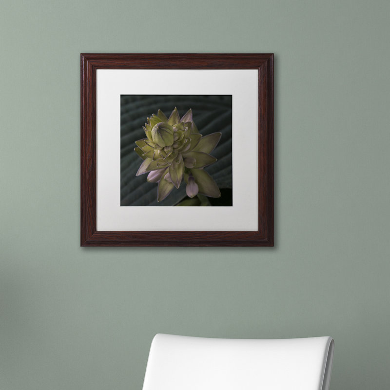 Early Hosta Flower Abstract Framed Canvas Print in Brown Wooden Frame