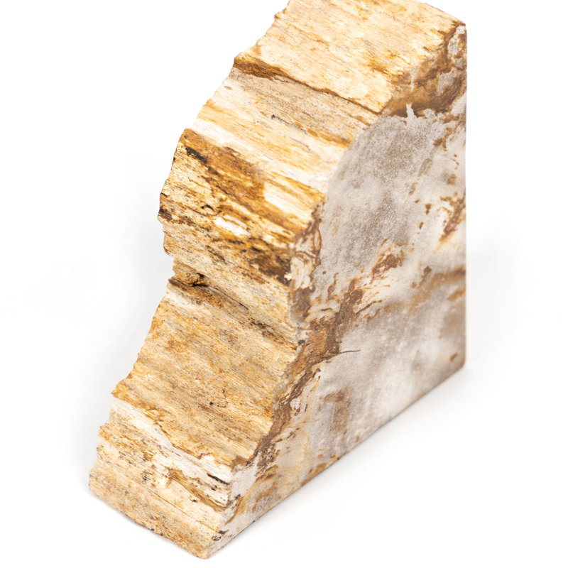 Petrified 2 Piece Wood Book End Set