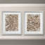 Barnwood Bloom I-ensemble de 2 reproductions d’art graphique encadrées sur papier
