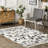 Carli Modern Pebble Tasseled Area Rug-1792168727