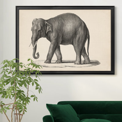 " Brodtmann Elephant " Painting Print