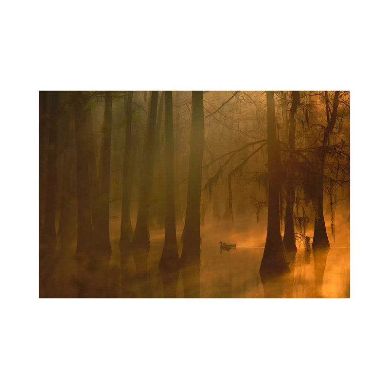 Mallard Pair In Dwarf Cypress Swamp, Calcasieu River, Lake Charles, Louisiana by Tim Fitzharris - Wrapped Canvas Print