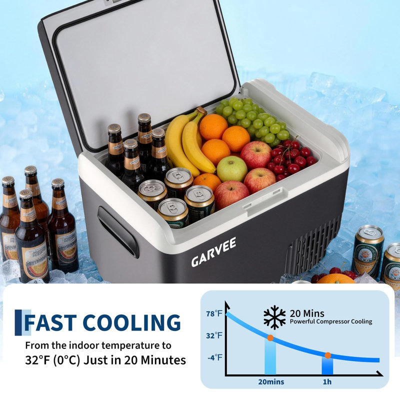 gaomon Mini Fridge