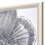 Belle Fleur II S/2 Print by Schlabach