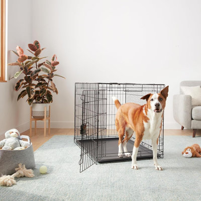 Cage pour chien durable et pliable en métal avec plateau, porte simple