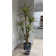 93.1'' Faux Agave Tree in Pot