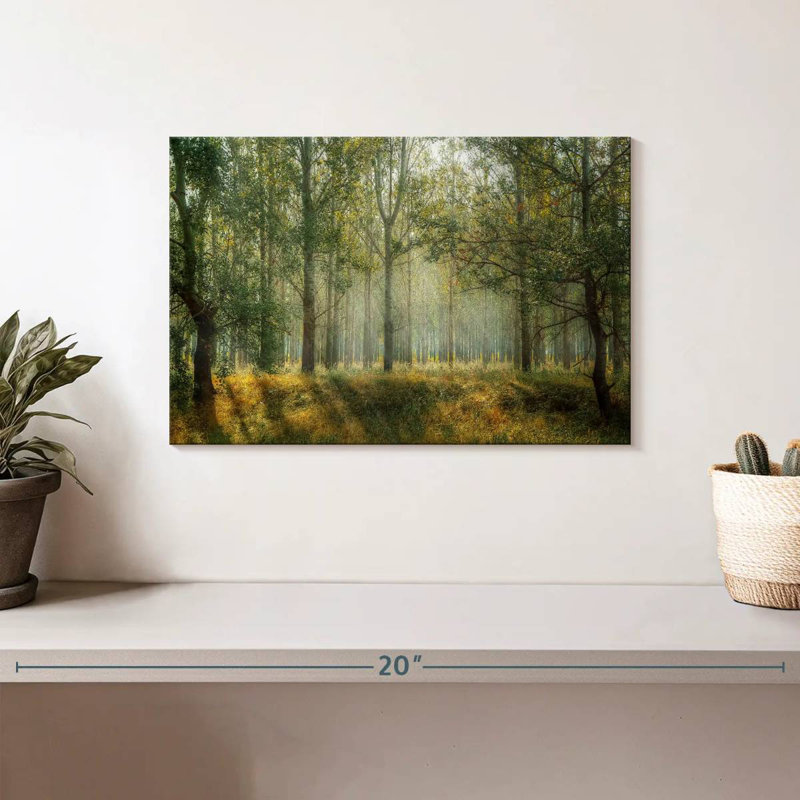 Paysage de forêt verte d'Alvord, H 8 po x l 12 po