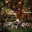 50ft Patio String Light, Waterproof, 24 Sockets, 36 Bulbs Included, E26 Base, For Festivals, Garden