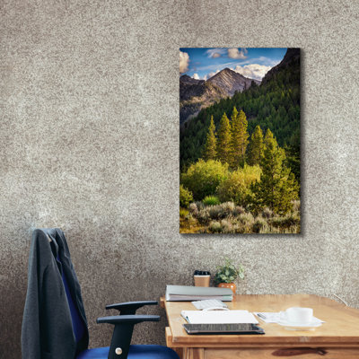 'In The Pioneer Mountains' by Rick Berk Canvas Wall Art, 40" x 60"