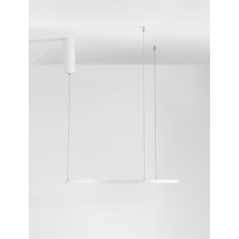1 - Light White LED Unique/Statement Pendant
