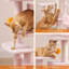 Arbre à chat à niveaux multiples 44,1 pouces-1454427656