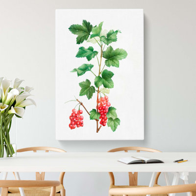 Redcurrant Flowers by Pierre-Joseph Redoute - Wrapped Canvas