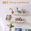 Ragiu 4 Piece Floating Shelf-1859691405-1869357171