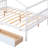 Daybed-88922727