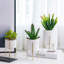 Liliath Pot Planter-1945425800-1945425807