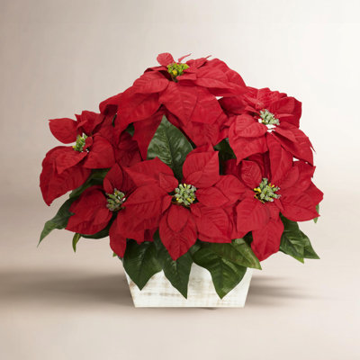 Poinsettia Floral Arrangement