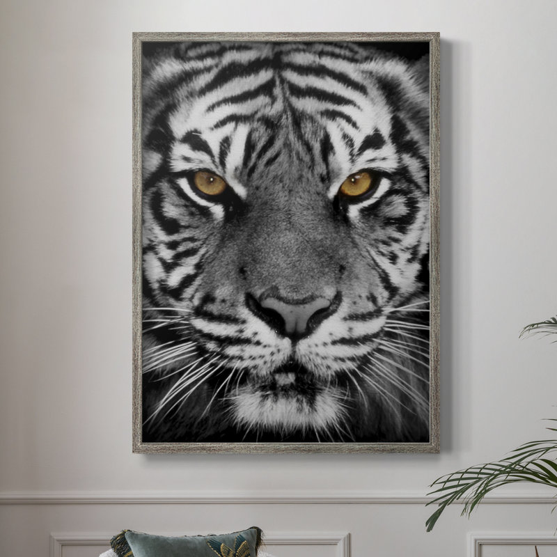 Golden Eyes Framed Print - Solid Wood