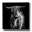 Union Rustic «Hippy Highland Cow» par Epic Portfolio, estampe numérique sur toile-362213077
