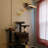 Cat Hammock with 2 Scratching Posts on Wall