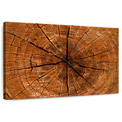 Souche d'arbre magnifiée Harnek