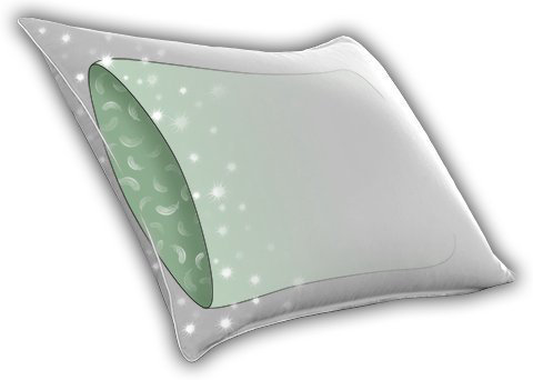 https://assets.wfcdn.com/im/51257184/compr-r85/6084/60841144/francine-goose-down-and-feather-blend-pillow.jpg