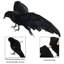 Paquet de 3 corbeaux à plumes noirs faits à la main réalistes Corbeau pour décorations d'Halloween