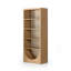 Higgs Bookcase-874438406
