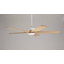 Ventilateur de plafond 60 pouces avec lumière