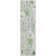 Machine Washable Indoor/Outdoor Claudian ACN1502 Mint Rug