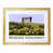 Oak Wood Frame is unavailable