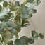 130cm Faux Eucalyptus Tree in Fibrestone Pot-1203865728