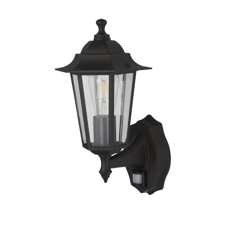 Naber 37cm H Outdoor Wall Lantern, Black