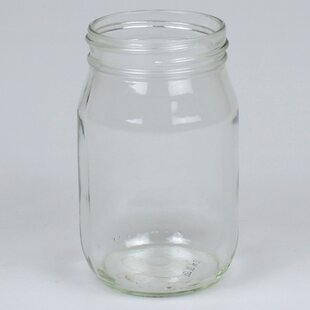 6-Piece Clear Mason Jars - 16 oz, Glass Drink Bottle with Lid and Straw,Frozen Juice Cup,Travel Mug Rosalind Wheeler