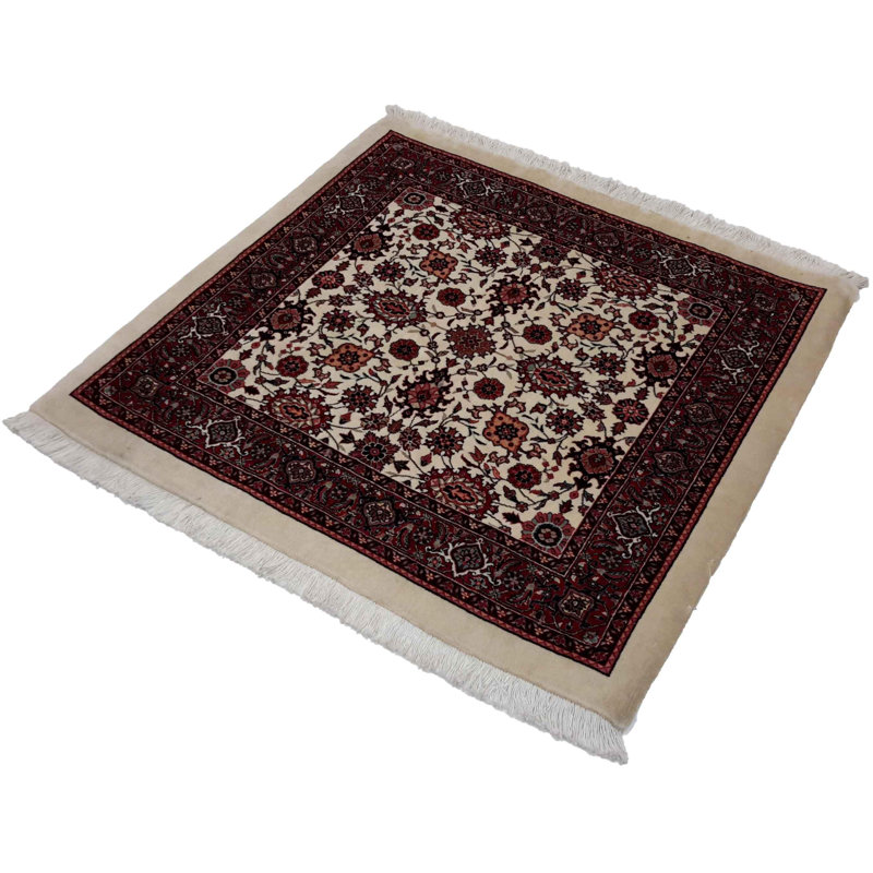 Wilhemenia Oriental Area Rug in Beige