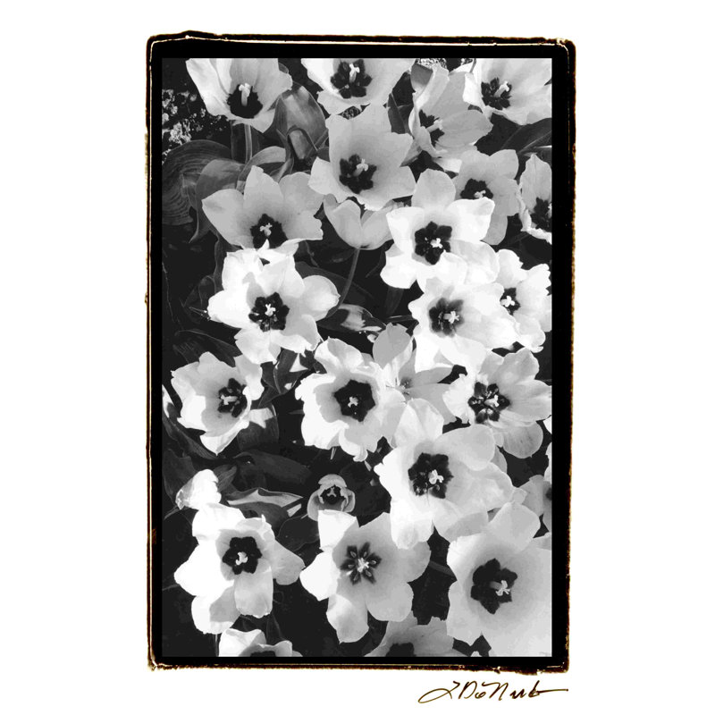Jardin printanier II, H 18 po x l 12 po