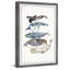 «Hartshorne Whale Species», reproduction encadrée-1590993625