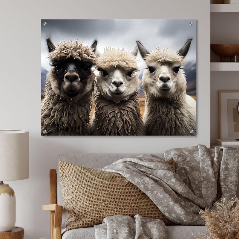 Alpacas, photographie de paysage monochrome - Alpacas, art mural acrylique, H 24 po x l 32 po
