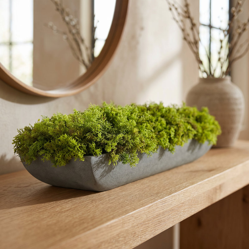 Moss 6" Artificial in Fiberstone Planter, Gray, 6"H x 22"W x 7"D