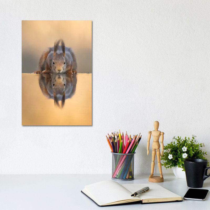 Thirsty Red Squirrel by Dick Van Duijn - Wrapped Canvas Print, 20.32 cm H x 30.48 cm W