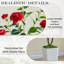 120cm Tree