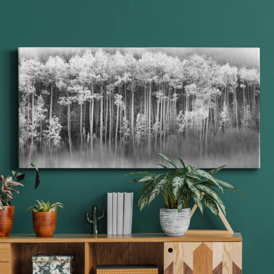 " Dreamy Aspen "