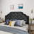 Button tufted design headboard with nailhead trim-2020287266