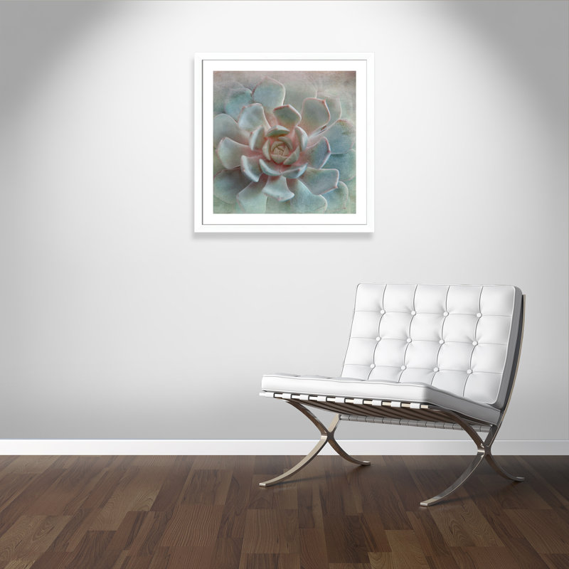 «Flaherty Pastel Succulent II», reproduction de photo encadrée, Blanc mat, H 33,5 po x l 33,5 po x P 1,25 po