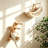 Cat Wall Climbing Shelves Hammock Set